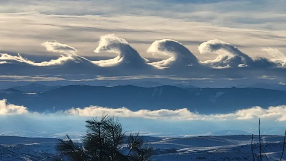 These wave like clouds are called Kelvin-Helmholtz clouds.