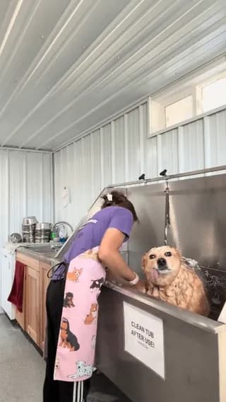 Dog makes ordinary faces!