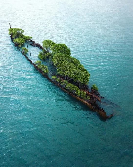 The sunken hull of the City of Adelaide steam ship, burnt in 1912, has become an artificial island hosting a variety of plant and bird life approximately 300 meters (330 yd) off the shore of Cockle Ba