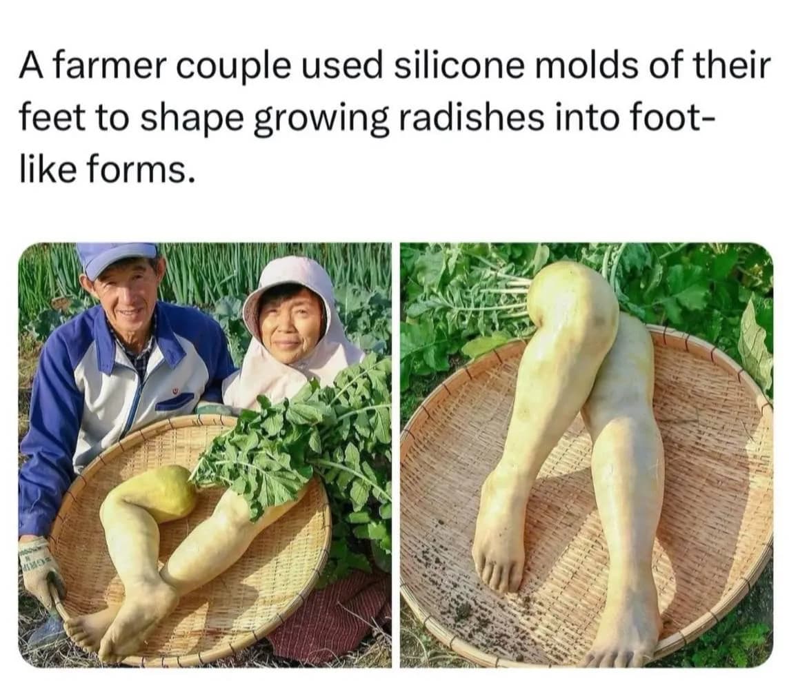 Human body-shaped radish