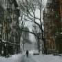 Why winter cold spells are getting milder