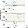 Biodiversity in production forests: Both costs and benefits shape the financial picture