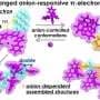 Changing counterions gives molecular materials new electronic behaviors