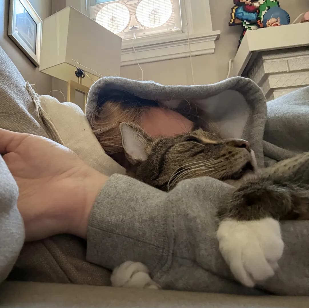 Snuggly kitty