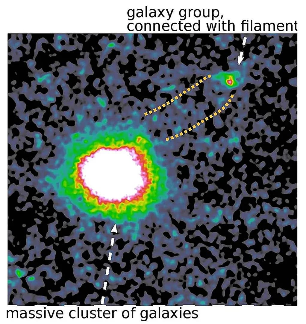 Homing in on the X-ray sky with eROSITA's second data release