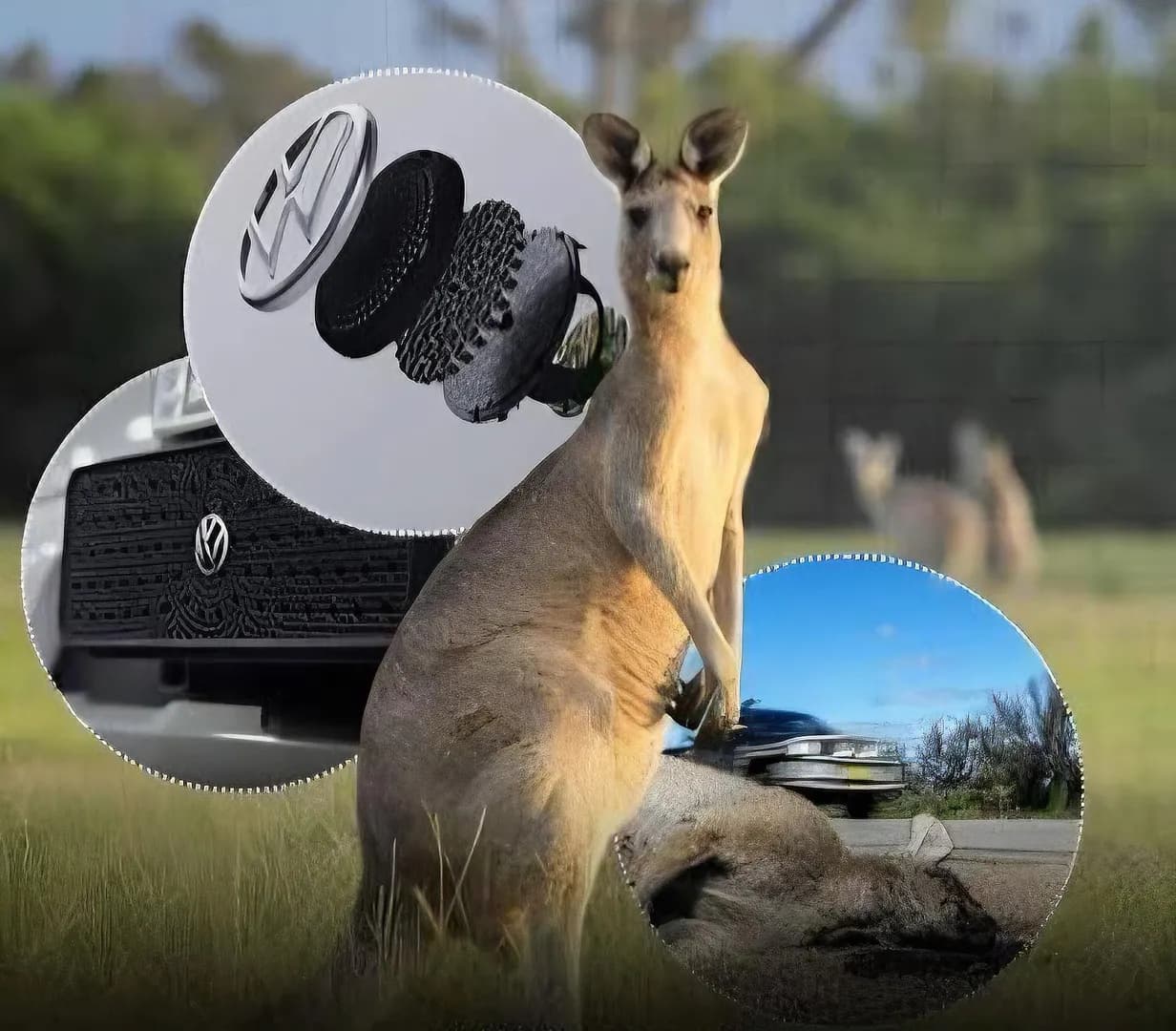 The RooBadge is a device that attaches behind the vehicle’s VW emblem. It creates a noise specifically designed to warn kangaroos that danger is near so that they run away from the road
