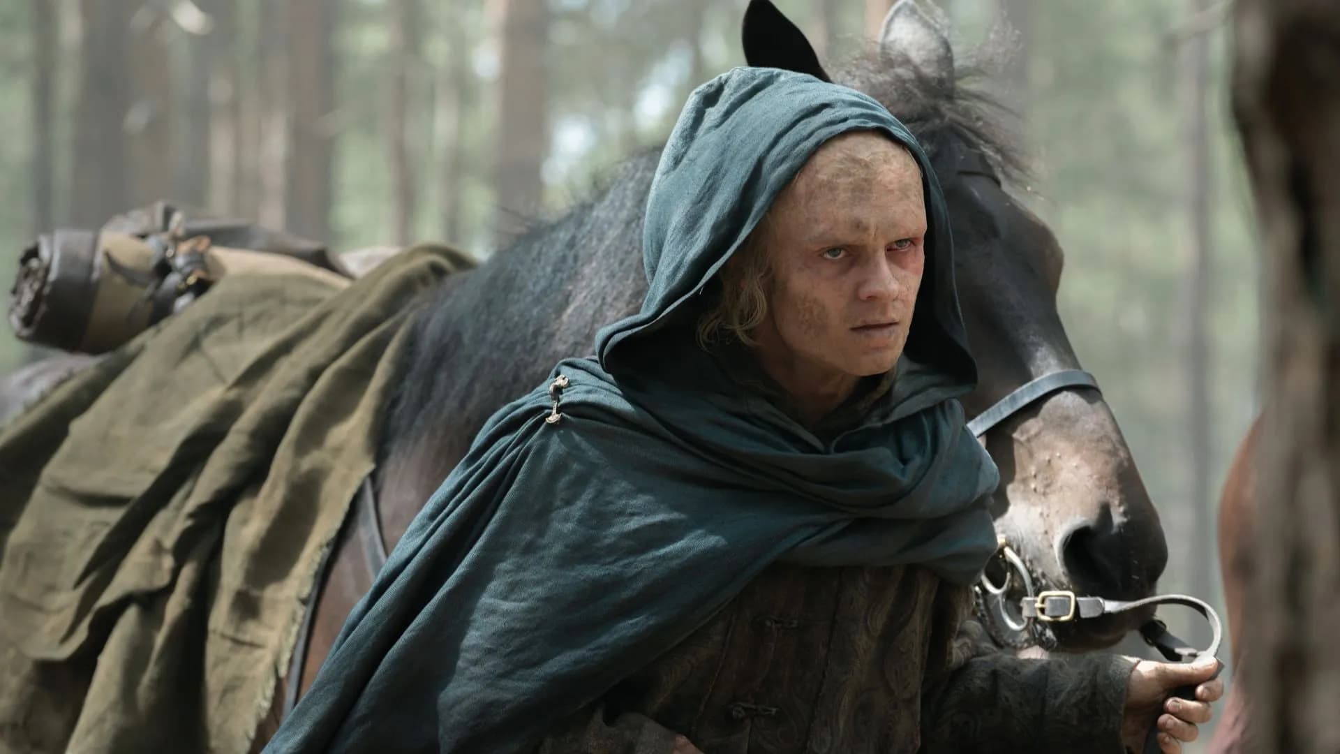 'House of the Dragon' Season 3, episode 7: How is Sunfyre still alive?