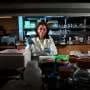 Pine bark and sponge compounds could counter drug-resistant malaria and babesiosis