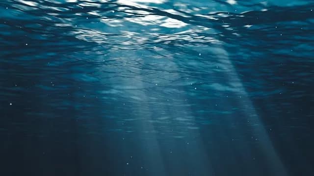 Microplastics have been discovered in one of the most remote, inhospitable, and unexplored parts of our planet. Microplastics were found in 92% of all animals examined (11 out of 12) living around dee