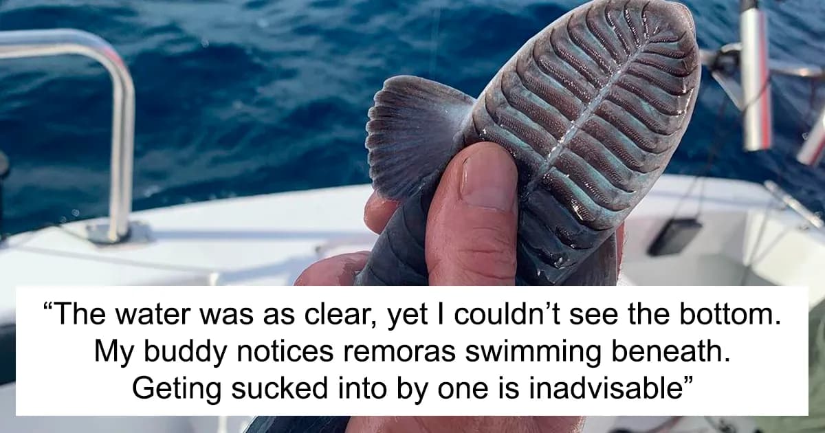 30 Creepy Or Weird Things People Witnessed In Oceans