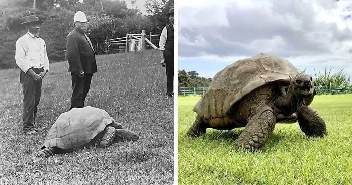 History Between The Lines: 29 Photos That Tell A Different Story