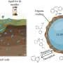 Do aging microplastics increase environmental risks from organic contaminants? Study suggests less than expected