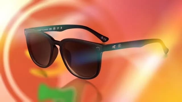 DuckDuckGo's Anti-AI Sunglasses Won't Spy On Anyone