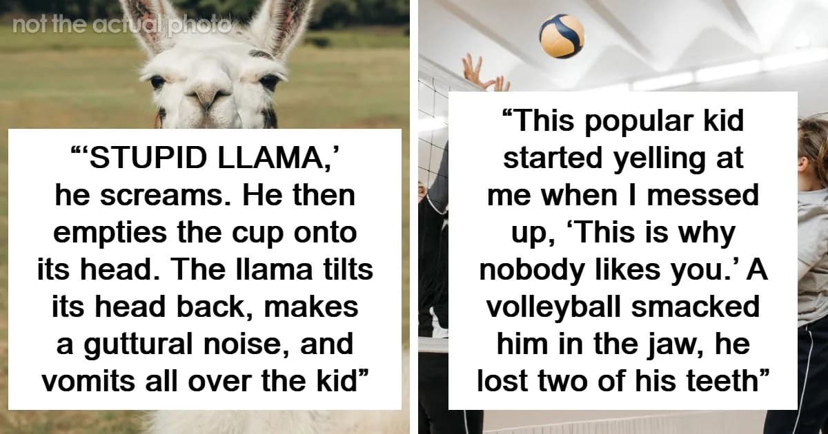 “Made Me So Happy”: 78 Stories Where The Best Revenge Was Simply Letting Karma Do Its Job