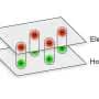 Quantum fluid reveals hidden states that can be switched with a magnetic field
