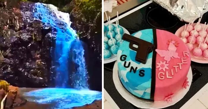 58 Pictures That Show Why Gender Reveals Should Be Banned