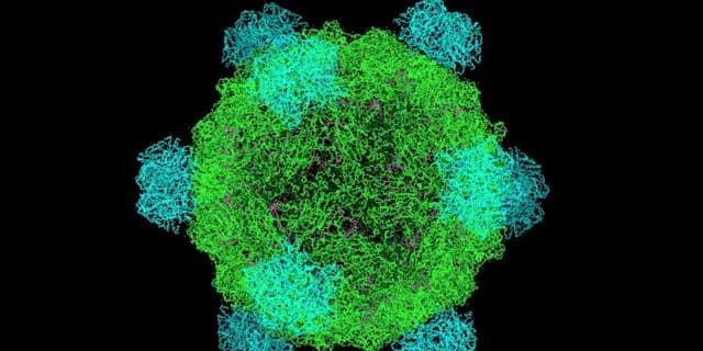 Scientists Sound Alarm on AI-Generated Biological Viruses Amid Unregulated Industry: “The ability to compose viral genomes using generative AI now exists; the governance to safely steer it does not,”