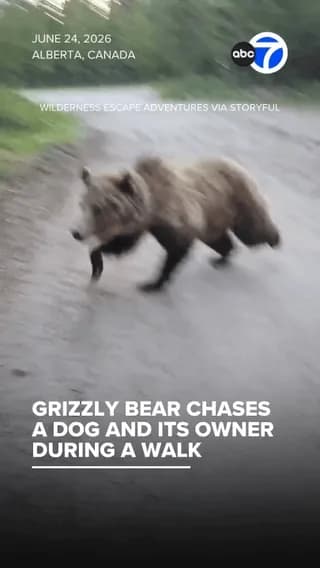 How she managed to film AND handle a bear at the same time is beyond me