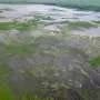 Ancient Colombians built huge water system without centralized rule, archaeologists say
