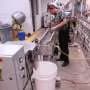 Traditional plastic forks shed harmful microplastics. Plastic created from sugar is an alternative