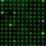 DNA repair enzymes favor specific sequences, shaping mutation patterns in the human genome