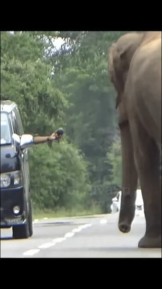You better pay the toll fees next time