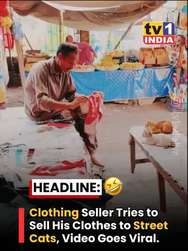 In a hilarious moment caught on camera, a clothing seller appeared to have no customers, so he decided to showcase his collection to a group of street cats instead
