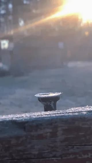 A bubble freezing in real time