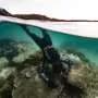 Rangers and scientists map vulnerable reefs in the remote Groote Archipelago