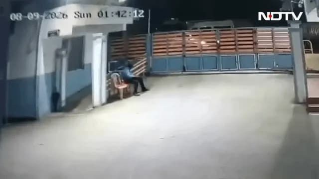 God Tier Survival Instinct