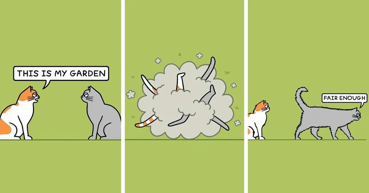 23 Ridiculously Absurd And Funny Cat Comics By Cartoonist Steve Nelson