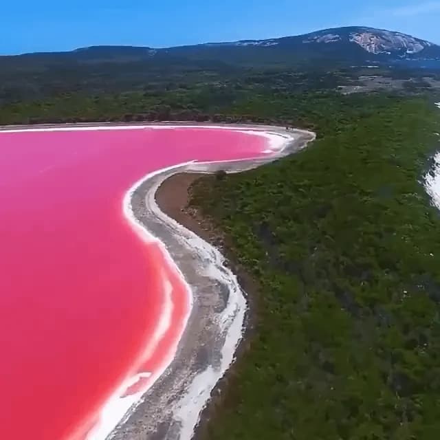 Lake Hillier in Australia, famous for it’s pink water. It is believed to be caused by salts and microscopic algae