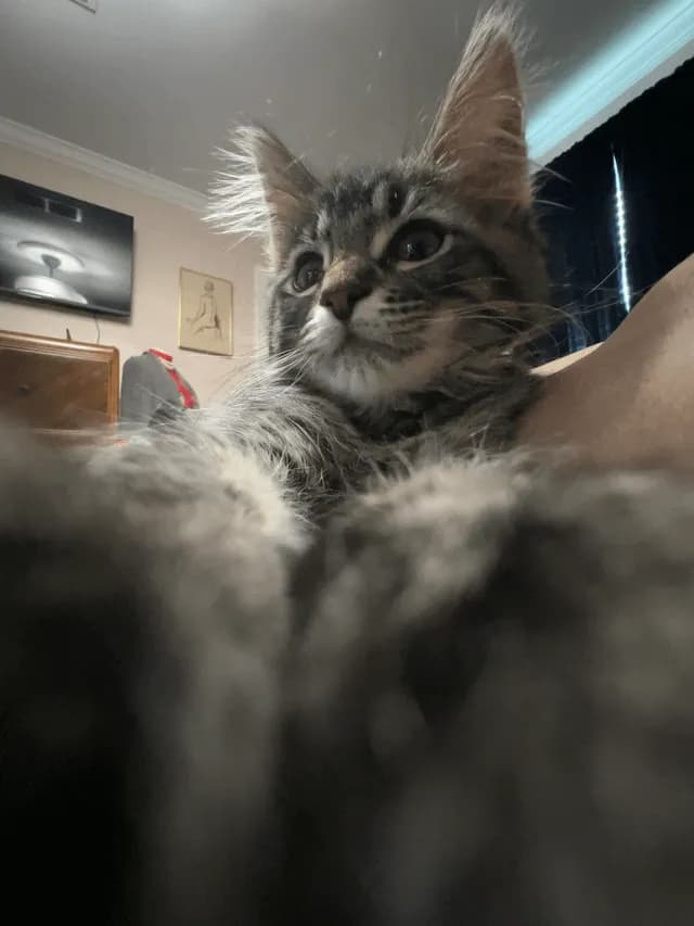 My baby Polly