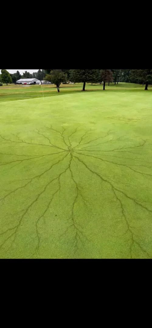 Aftermath of a lightning strike on a golf course in my hometown.