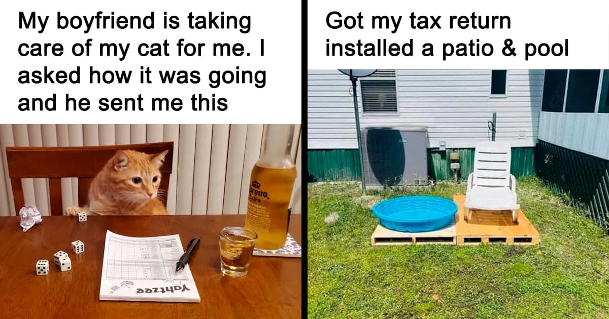 43 Funny Posts Offering A Little Comic Relief From Daily Life