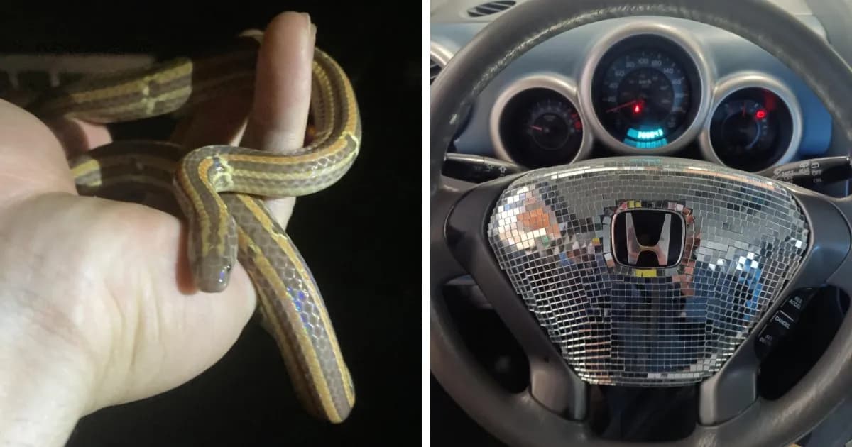 55 Dangerous Things People Did That Were Completely Unnecessary (New Pics)