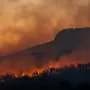 There's nothing 'wild' about most wildfires. Humans start them and have made them more dangerous