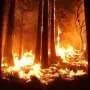 Three days of Ontario wildfire smoke brought unhealthy air to 106 million person-days