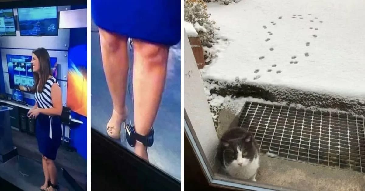 77 “Hmmm” Images That Nobody Asked For, But Everyone Needed