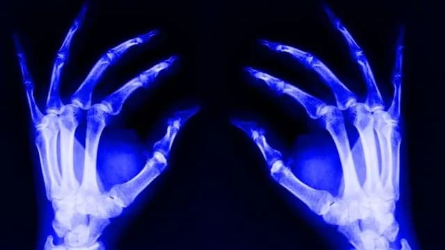 New mouse study links bone‑marrow stem cell aging to “inflammaging”: SIRT3 overexpression in hematopoietic stem cells curbed maladaptive trained immunity and improved distant tissue function (muscle,