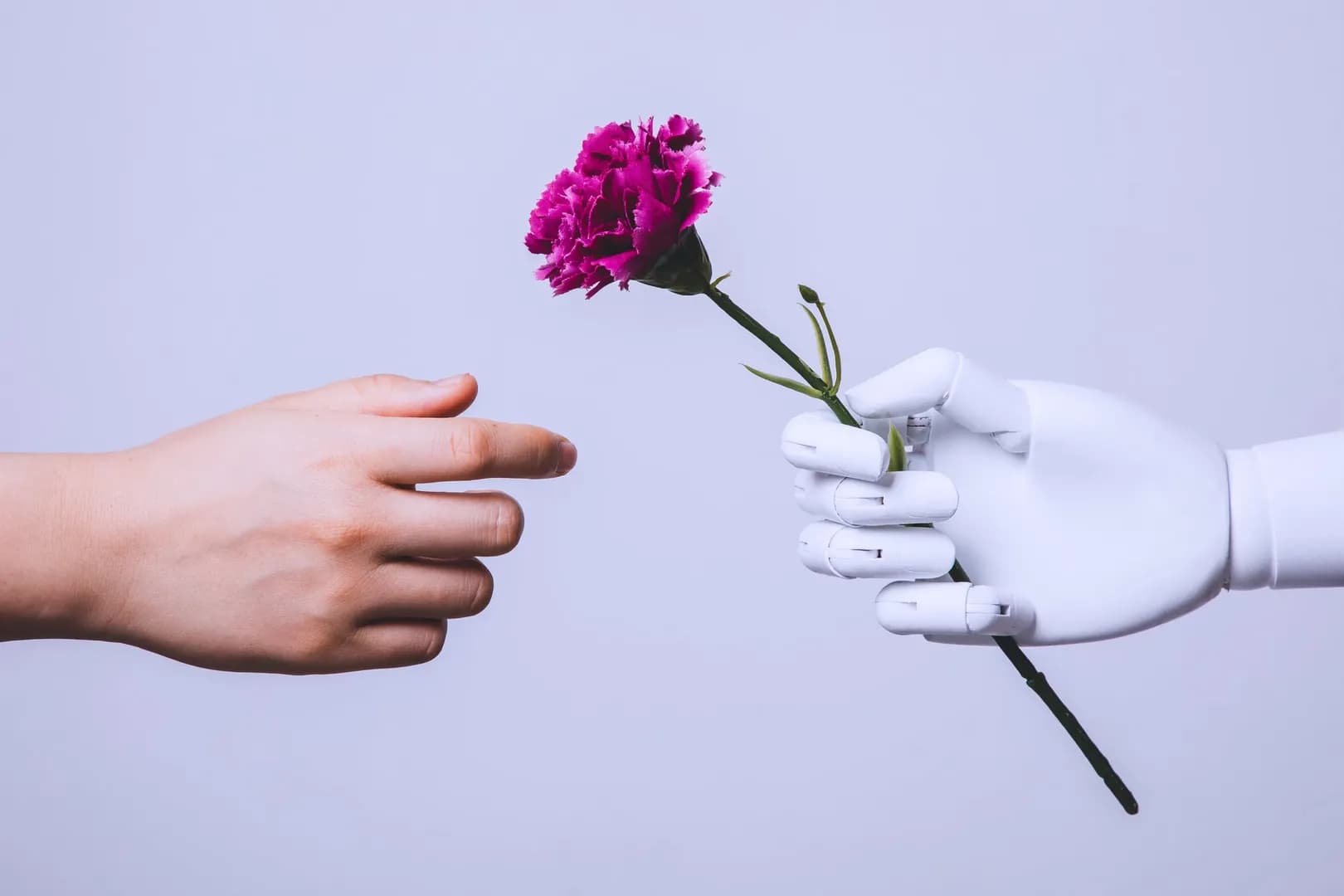 AI companion company EVA AI hiring human therapist