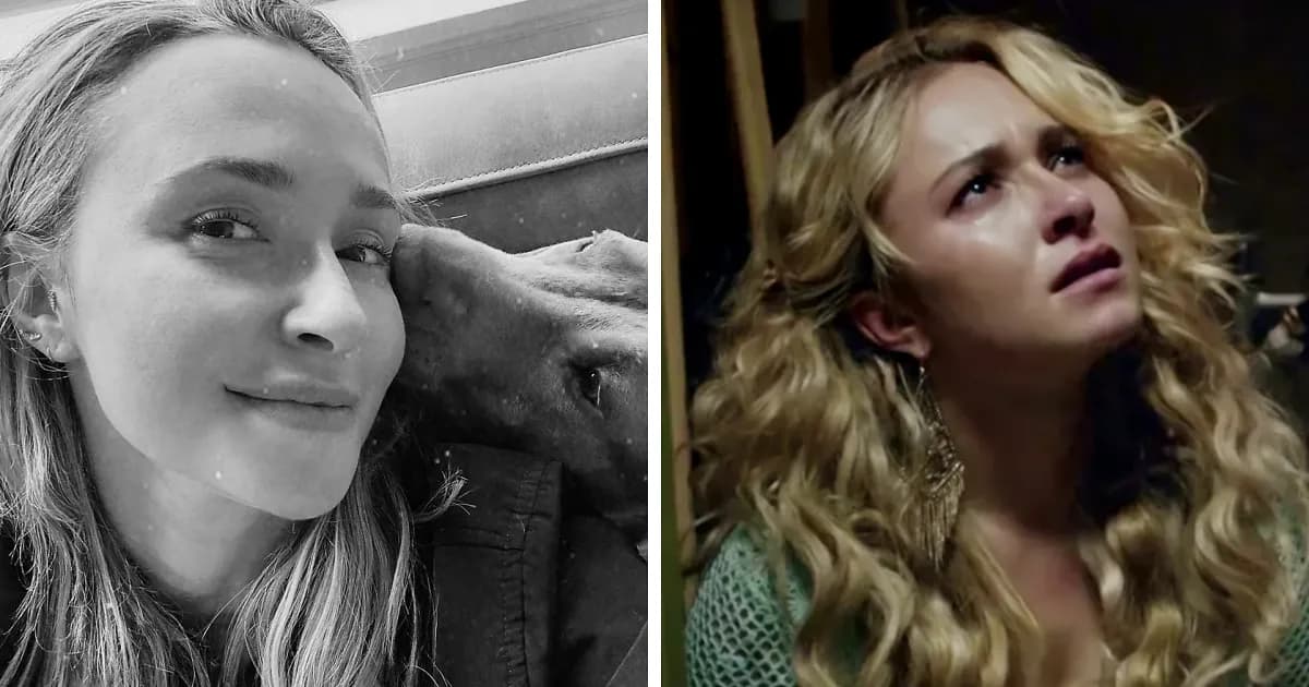 āShe Was Desperateā: Hayden Panettiereās Heartbreaking Final Days Revealed As Hollywood Allegedly Turned On Her