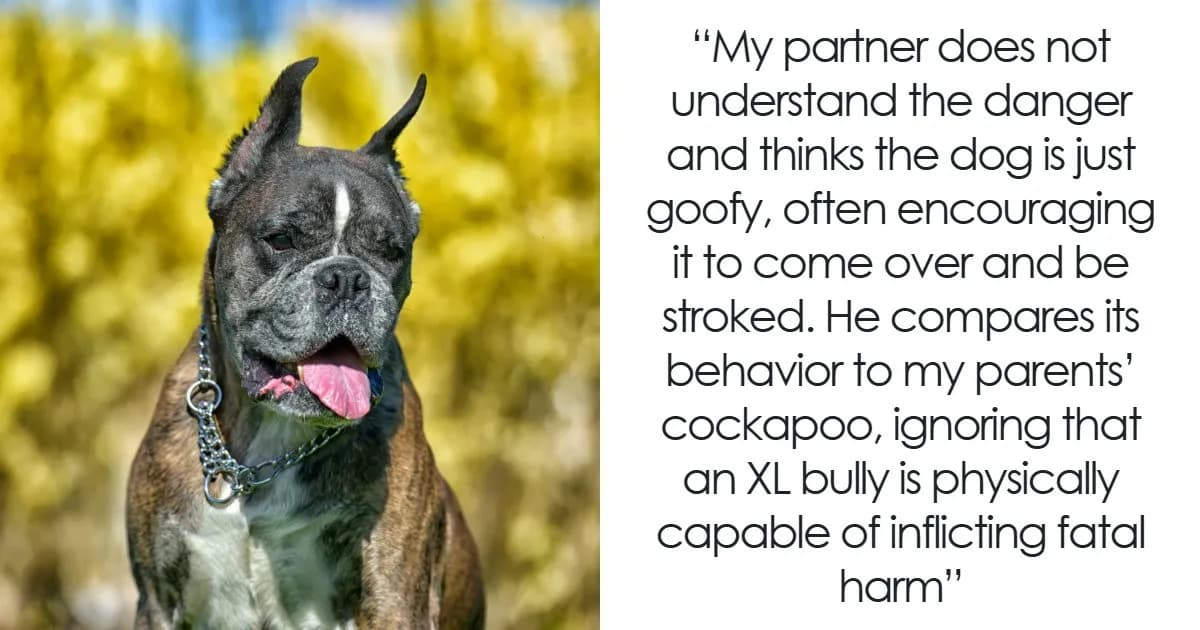XL Bully Roams Without Leash Or Muzzle, Owner Laughs After It “Plays” With Pregnant Neighbor