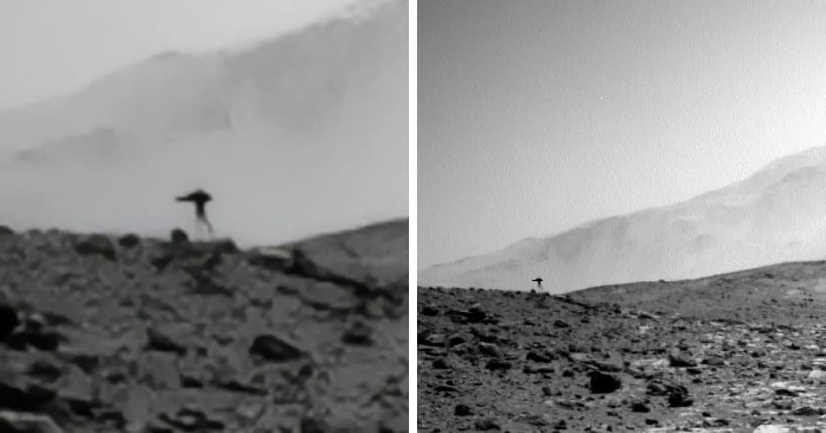 "Jellyfish" Spotted In NASA Mars Photo Sparks Frenzy As People Dig For Explanation