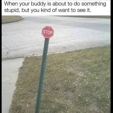 It's always that one bro