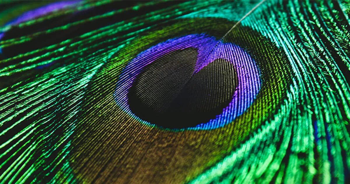 Scientists Have Found A Way To Show Humans A New Color Called “Olo,” But Only Five People Have Ever Seen It