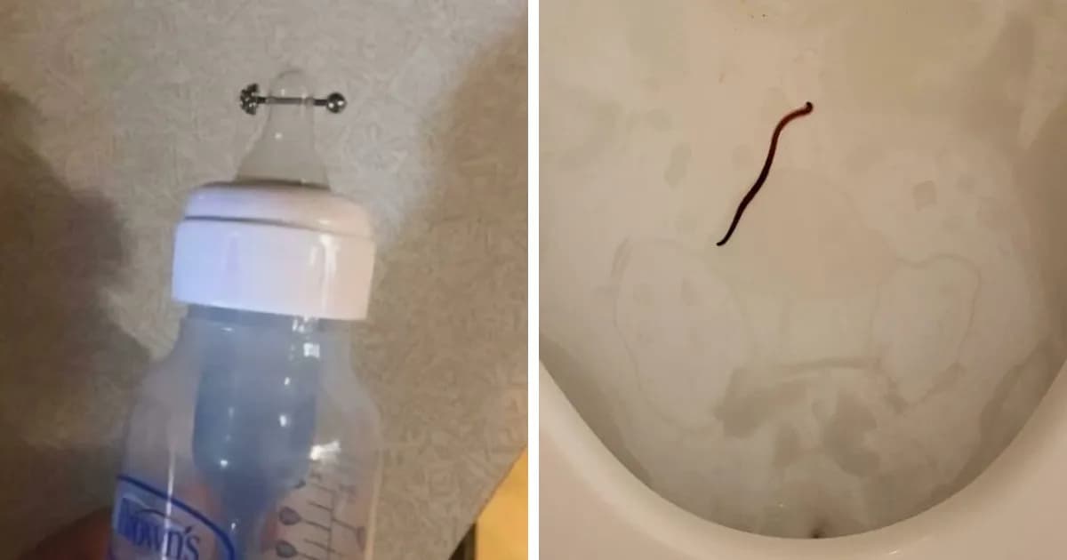 80 Baffling Images That Had People Asking Questions The Internet Answered In A Helpful Or Funny Way (New Pics)