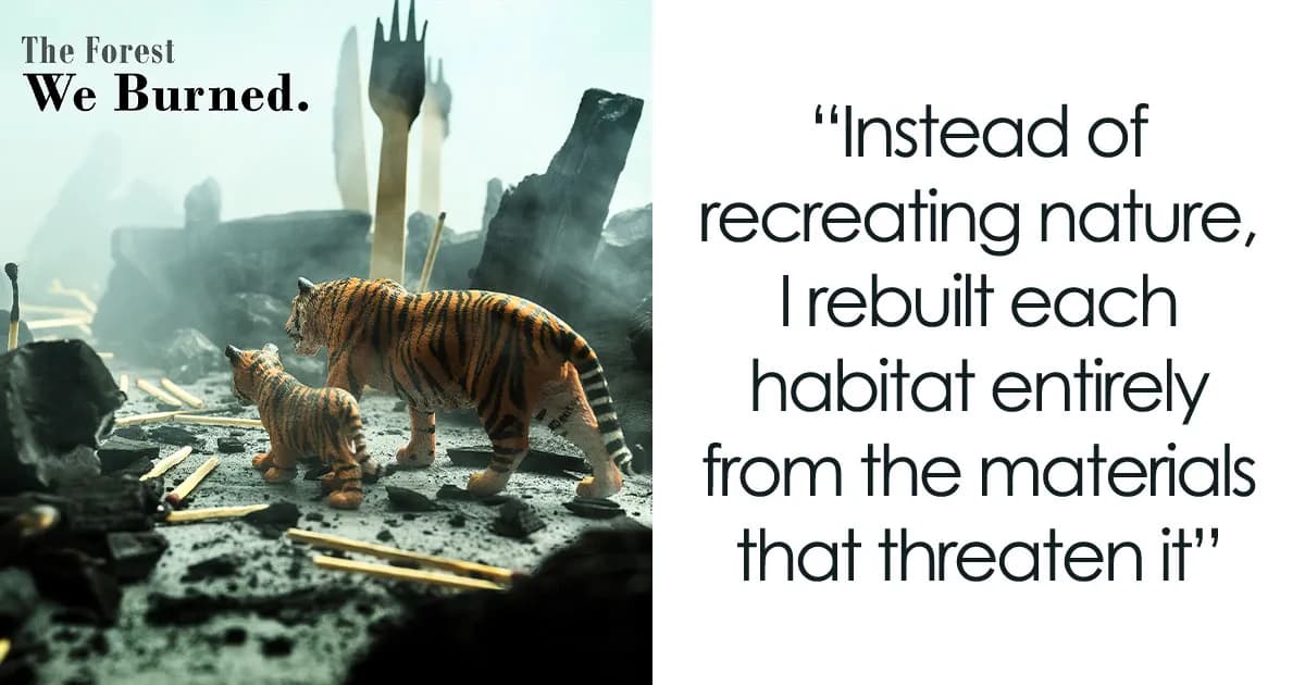 This Photographer Built Miniature Habitats To Show How Waste And Industry Are Endangering Animals