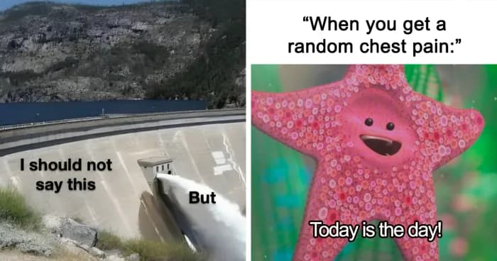 Barely Functioning: Quirky Memes For The Daily Struggle