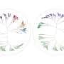 Seeing the unseen: A new tool visualizes hidden structures in complex biological data